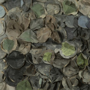 Barbara Hirsch. Courtesy of Madelyn Jordon Fine Art