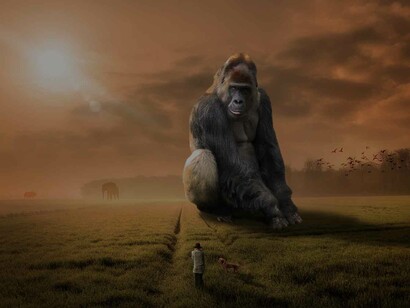 A dream of King Kong staring at a man in an open field under the dusty sunlight, a symbolic representation of a reality