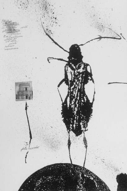 Mariella Busi Delogu, Sulla terra nera