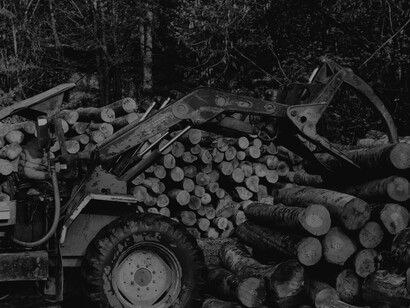 Logging in Akdağmadeni, Yozgat, Türkiye, a tractor stacking destroyed trees