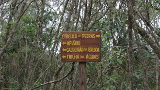 A viagem estava marcada para acontecer dali a duas semanas e, acredite ou não, ela conseguiu estruturar todo o roteiro, passando pela Ladeira do Amendoim, Pedra da Bruxa, Parque Municipal Antônio Rosa, Cachoeira da Lua, Trilha do Vale da Borboleta, dentre muitos outros. Junto com sua mãe e seu pai, iam também seus irmãos, Lucas e Rafael, gêmeos de 9 anos, e seus tios, Umberto e Tânia, com seus filhos, André, de 8 anos, Joana, de 14 anos, e Frederico, de 18 anos. Ela ficou tão feliz com essa notícia!