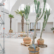 Trevor Yeung, Underwater haze, ausstellungsansicht. Mit freundlicher genehmigung der Kestner Gesellschaft