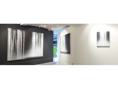 ‘Forces of Nature: Annie Leibovitz and Hiroshi
Senju’, Sundaram Tagore Gallery Hong Kong,
2015