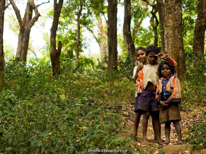 Bambini Soliga giocano in una radura della foresta, in una delle riserve delle tigri dell’India
© Shrenik Sadalgi/Survival