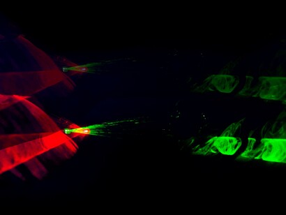 Il libro denuncia due "anomalie" principali: la prima è politica, legata alla Dichiarazione Balfour del 1917, in cui l'Inghilterra promette una terra, la Palestina, che ancora non possiede; la seconda è biblica, riferendosi alla promessa di Dio ad Abramo di una convivenza pacifica tra le stirpi di Isacco e Ismaele, che oggi si trovano invece in conflitto

