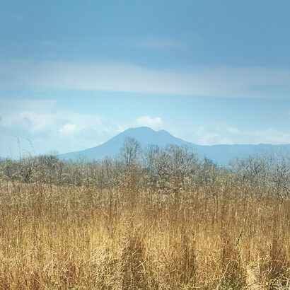 Planicies de Guanacaste, hoy. Foto: Luko Hilje