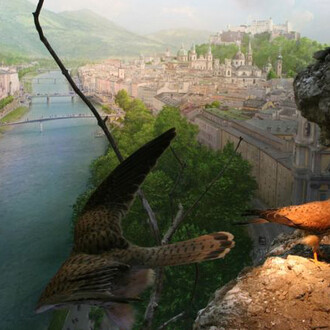 Habitats Diorama. Courtesy of Haus der Natur