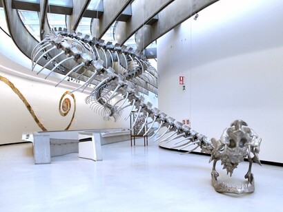 Huang Yong Ping. Instalación Baton serpent
