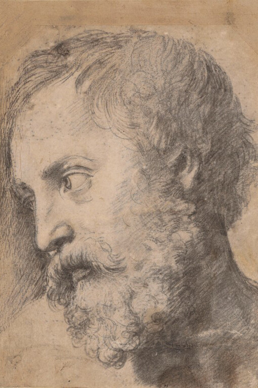 Raphael. Courtesy of Albertina