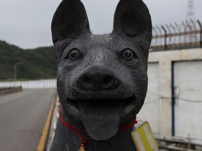 Chi-Yu Wu, Dog