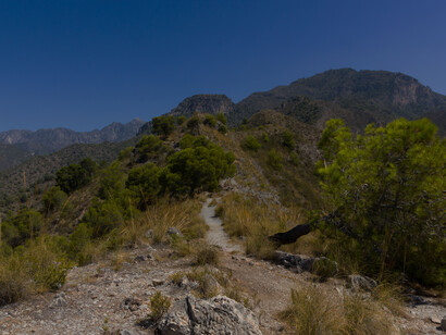 A veces, hay pueblos de la Costa del Sol que se mueren de éxito turístico, dan mucho trabajo, pero es una industria de temporadas.
Montañas de Frigiliana, 2020, Andalucía, España