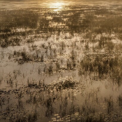 Il existe plusieurs solutions pour aider le grossophobe à surmonter sa peur de parler en public