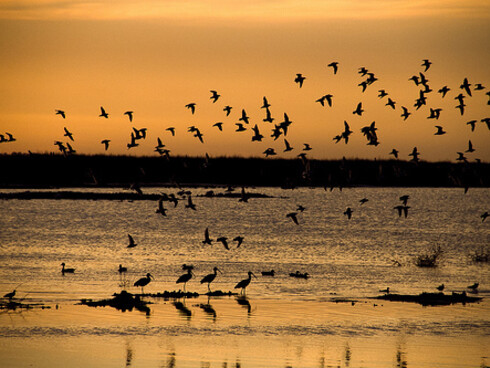 Las aguas del lago Epecuén, con un alto índice de salinidad, poseen propiedades terapéuticas