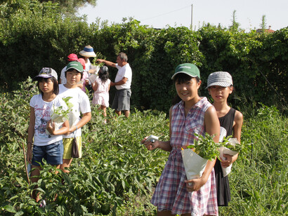 Bambini di Fukushima nell'Orto dei Sogni