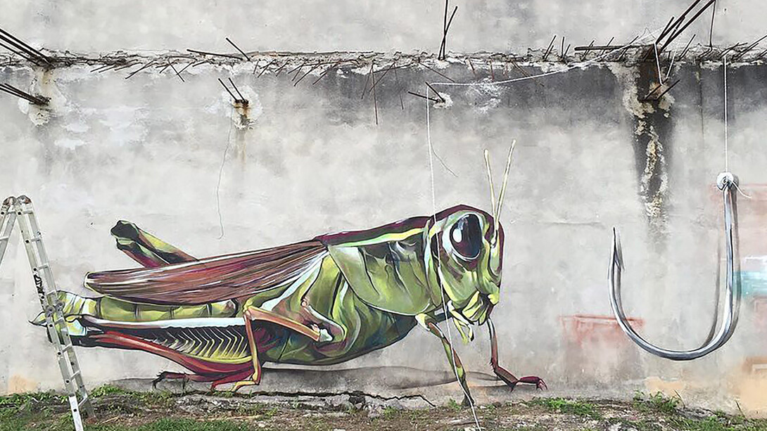 Saltamontes y anzuelo, Akid One, 2017