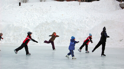 Ice skating lesson, source: galleryhip.com