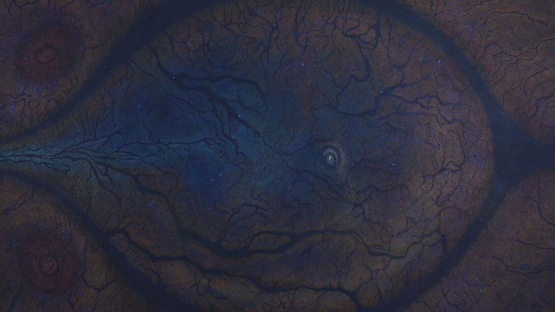 Luisa Rabbia, Birth, 2017, colored pencil, acrylic and fingerprints on canvas, 108 x 202 inches (274 x 513 cm). Courtesy of Peter Blum Gallery, New York
 