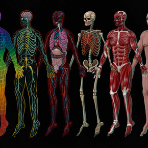 Nychos, Six-Layers Till Consciousness, 2021