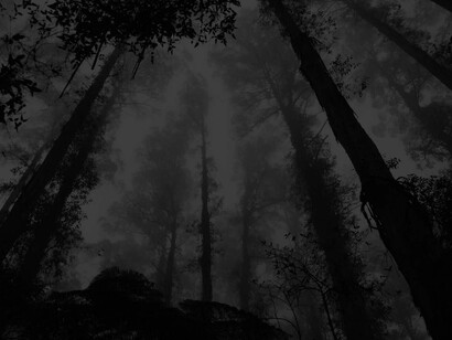 La projection d'un être sans existence incarnée