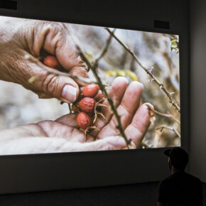 Cecilia Vicuña. Courtesy of ICA Philadelphia