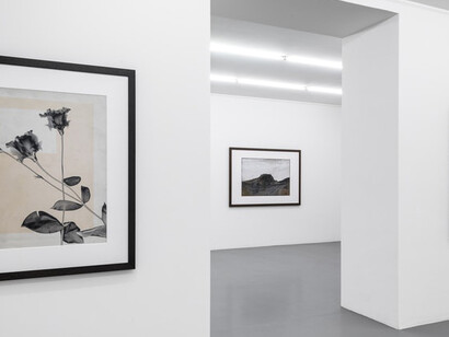 Thomas Ruff. Courtesy of Mai 36 Galerie
