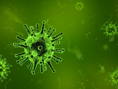 Scourges, pestilence, infectious disease present death’s inevitability