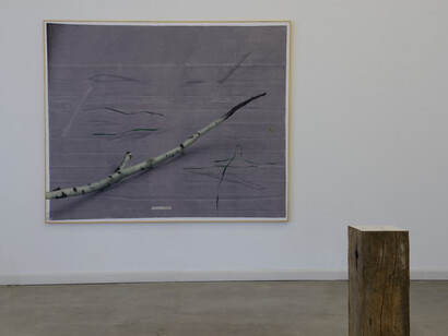 Linda Carrara. Courtesy of Boccanera Gallery