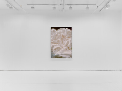 Daniel Terna, The terrain, exhibition view. Courtesy of Jack Barrett Gallery