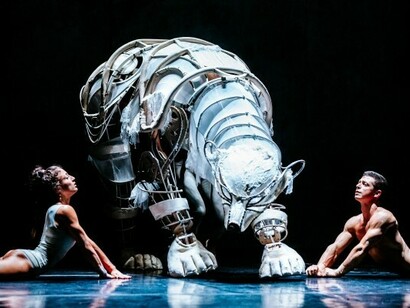 Recirquel Cirque Danse di Budapest, Solus amor. Un orso polare a grandezza naturale entra ad un certo punto in scena