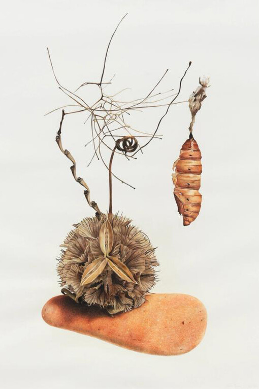 Sareh Imani, When the wind dies down, and the rain grows gentle 13, 2025. Courtesy of 56 Henry