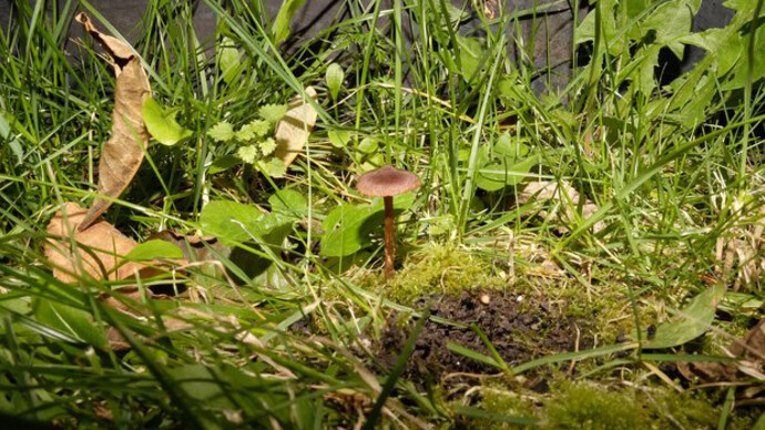 Resanita. Courtesy of Kunst Haus Wien