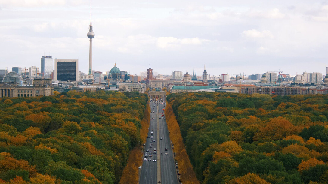 Bosco a ridosso di Berlino, Germania