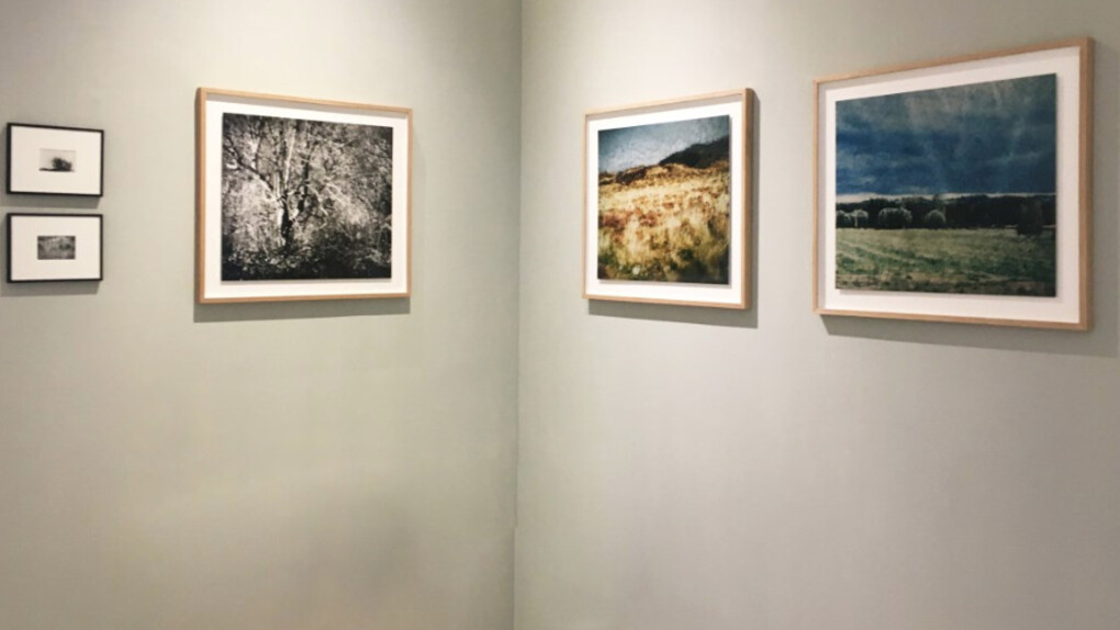 The Language of Trees. Courtesy of Galerie Photo12