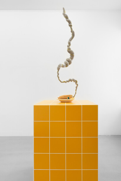 Yuli Yamagata
Sopa
2020
velvet, ceramic plate, polyester acrylic, cold porcelain, sewing thread, silicon ber, aluminum wire, tiles
112 x 24 x 24 cm (plinth 90 x 60 x 60 cm)