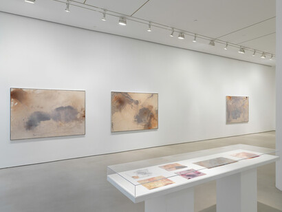 Daniel Lefcourt. Courtesy of Mitchell-Innes & Nash