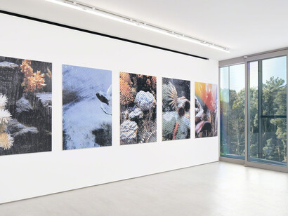 Hugh Scott-Douglas. Courtesy of Blum & Poe Gallery

