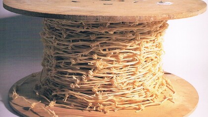 Anthony Key. Trespassing