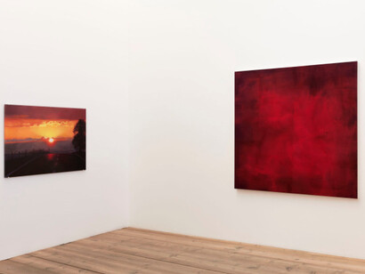 Silvia Gertsch / Xerxes Ach. Courtesy of Galleria Monica De Cardenas