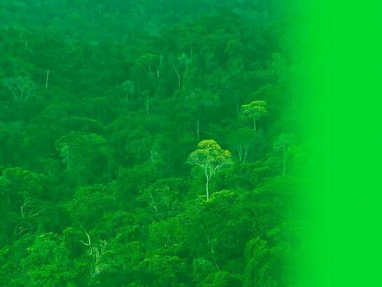 Melanie Smith, Still from The Colour Green, 2014. HD Video, 2:26 min.