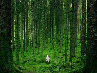 Man walking in a forest