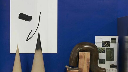 Camille Henrot, The Pale Fox, 2014, installation view, Chisenhale Gallery. Commissioned and produced by Chisenhale Gallery in partnership with Kunsthal Charlottenborg, Copenhagen; Bétonsalon – Centre for art and research, Paris and Westfälischer Kunstverein, Münster. Courtesy kamel mennour, Paris and Johann König, Berlin. Photo: Andy Keate. © ADAGP