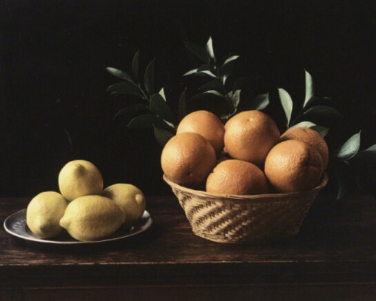 Reference. Courtesy of Rosegallery