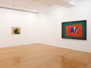 Howard Hodgkin. In The Pink, Exhibition view. Courtesu of Gagosian