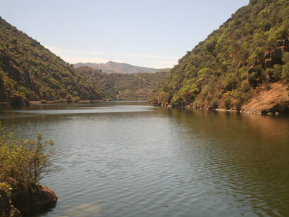 Alto Douro, outeiros. Fotografia Sérgio Lira