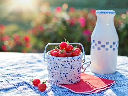 Alimentazione equilibrata