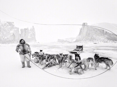 Whiteout: Visions from an Eternal Winter. Courtesy of Paul Nicklen Gallery 