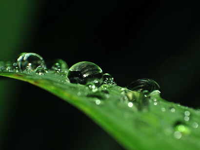 Cycle de l'eau. La vapeur d’eau est le plus important des gaz à effet de serre : si la température à la surface du globe croit de 1 degré, l’augmentation de l’évaporation, notamment sur les océans, en est responsable pour moitié