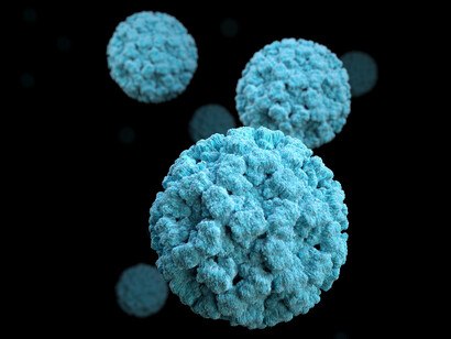 Bacteria are ubiquitous in nature