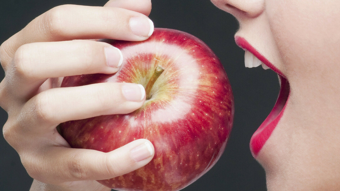 Nuova consapevolezza del ruolo fondamentale svolto dalla masticazione