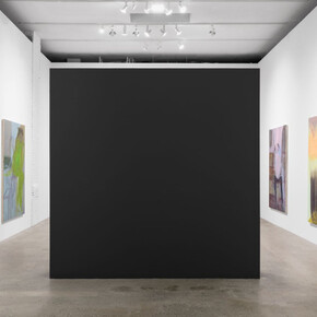 Stefania Batoeva, Before days break, exhibition view. Courtesy of Company Gallery 